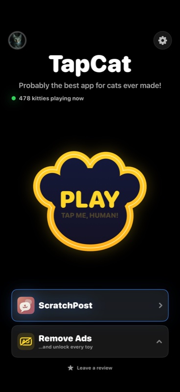 TapCat's home screen with the paw Play button