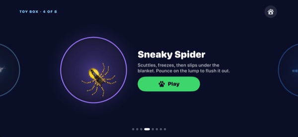 Sneaky Spider